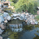 backyard-bridge-water-feature