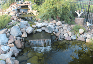 backyard-bridge-water-feature
