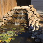 backyard-pond-water-feature
